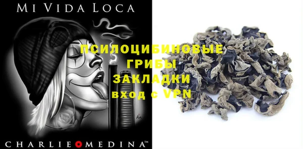 экстази Ельня