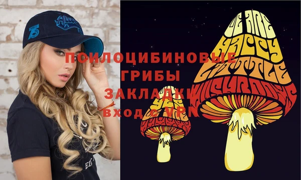 мдма Елизово